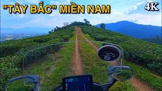 [4K POV]  Adventure Ride to Bao Loc: Vietnam's Hidden Highlands | Honda Forza 300 Off-road?
