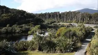 NZ