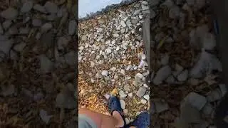 Чуть не пробил иглой от шприца ногу на пляже ,я ее кинул к самому забору .Но надо было в мусорный .