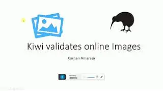 Kiwi Verifying Online Images
