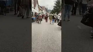 defuxdeiwelswilde 🤠de singende und lachende Vagabund
