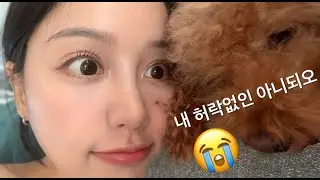 농익은 부부스킨쉽💋