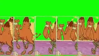 Dexter's Laboratory Camel Stampede Green Screen