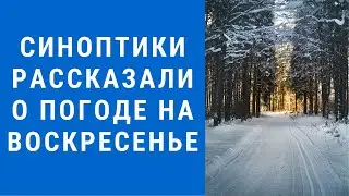 Погода на завтра, погода 20 февраля