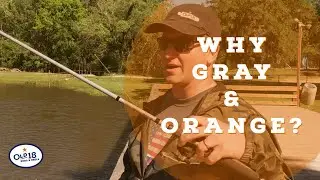 Why Gray & Orange?