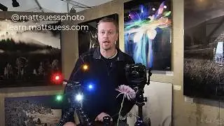 Adaptalux Lighting Studio First Look for Macro Photography with Olympus Cameras