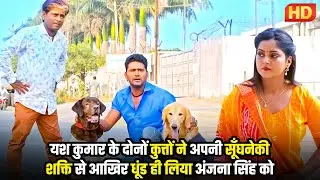 #bhojpuri #video यश कुमार के दोनों कुत्तों ने अपनी सूँघनेकी शक्ति से आखिर धूंड ही लिया अंजना सिंह को