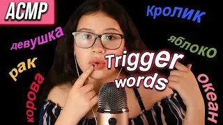 Asmr trigger words🥴 (fast) || 🍎 My favorite Russian words🤓 || VIVI ASMR