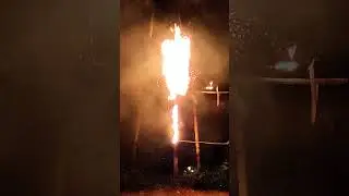 Funny New Year