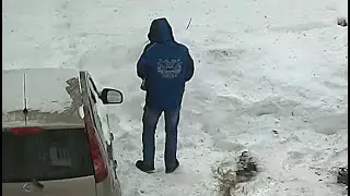 Ссыт во дворе напротив жилых окон 13.03.2021