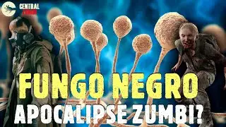 O FUNGO NEGRO irá causar um APOCALIPSE ZUMBI?