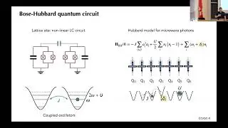 Assembling and Controlling Photonic Quantum Matter: Solids, Fluids and Cats