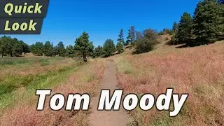 Quick Look: Tom Moody Loop Trail Hike - Flagstaff, Arizona