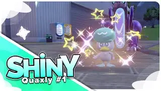 [Live] Shiny Quaxly #1 in 455 Eggs via Masuda Method!