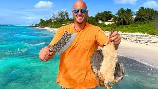 Shallow Water Reef Fishing & Chicken Catching on an Island!