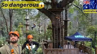 TreeTop adventure Melbourne Australia 🇦🇺
