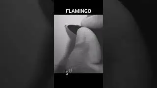 drawing flamingo simple 