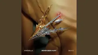 Never Been Hurt