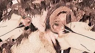 поставь лайк за 10 сек, если ты не