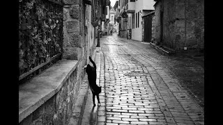 Fotoğraf Hikayeleri III (Photo - Story )