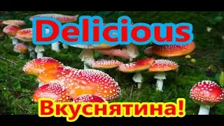 The most delicious mushrooms! Самые вкусные грибы!