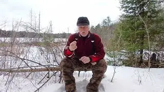 Whitetail's Seasonal Changes...Brain Talk.....Buckman