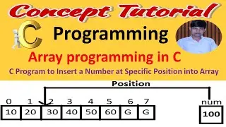 Insert a new Number into an Array at Specific Position | Insertion program in C | Data Structure