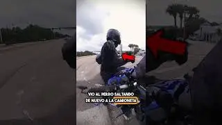 La Reacción Del Motociclista Lo Dice Todo… 