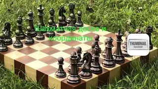 Обучение шахматат выпуск 3 : шахматная доска и координаты #шахматы #кубокмирапошахматам2023
