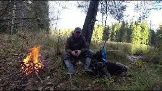 Охота на утку с подхода! Удача с нами!
