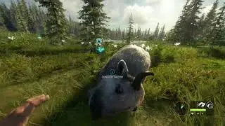 Nice hunt on Yukon Valley! theHunter: Call of the Wild