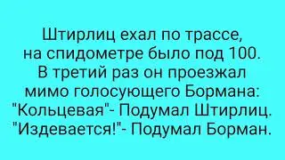 Штирлиц и Борман