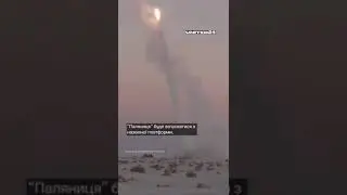 Паляниця