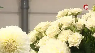 Время новостей 2024.08.26