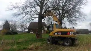 Eik vellen met Husqvarna 372 - Cat 312