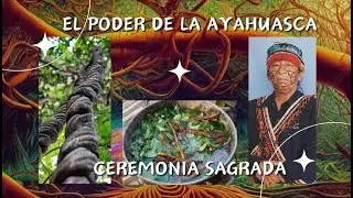 AYAHUASCA USO ANCESTRAL || Diálogo con el líder achuar Luis Vargas Canelos (Chumpi)