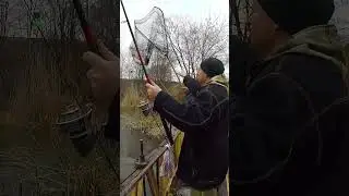 Рыбалка на Карася
