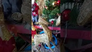 Праздничное убранство в Хайфе #shorts