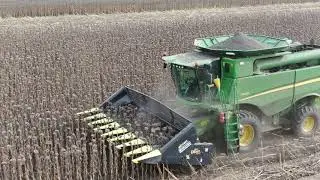 Уборка подстолнечника Olimac DRAGO Gold и John Deere