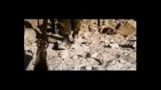 Сектор Газа  Туман