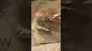 ПАКЕТНЫЙ МОНСТР