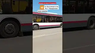 МАЗ-203.016🚌N.662 Краснодар @ТроллейбусАвтобусКРД @TransportKrasnodar292 @transportonelove856