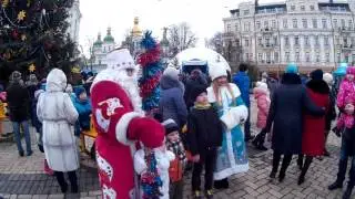 Kiev Ukraine Christmas Tree. Sophia Cathedral. Новый Год. Новогодняя Елка 02 01 2017