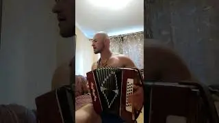 Кино - Стук (cover на гармони)
