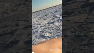 #увильды