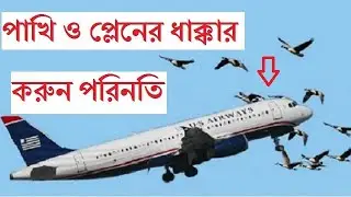 সামান্য পাখির সাথে সংঘাতে প্লেন ভেঙ্গে পড়লো নদীর জলে | Miracle on Hudson | Dekho aur Sikho |