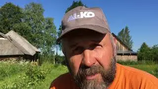 Дегустирую жимолость.