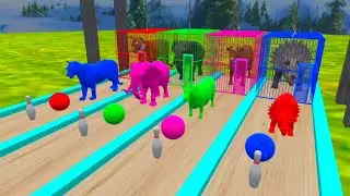 Animal Cage Game | Elephant Dinosaur Cow Tiger | Animal Cartoon | animals escape game | kids