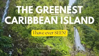 The GREENEST Island I have EVER SEEN? Discover the Breathtaking Beauty of Nature in Dominica - VLOG