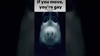 innocent video